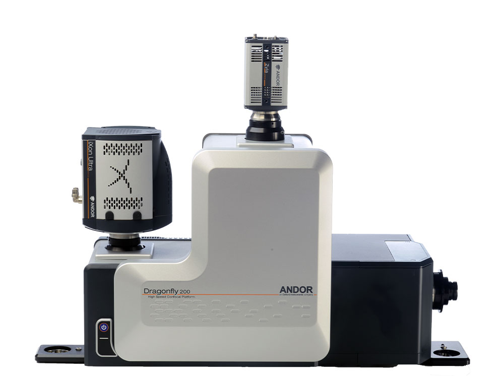Dragonfly 200